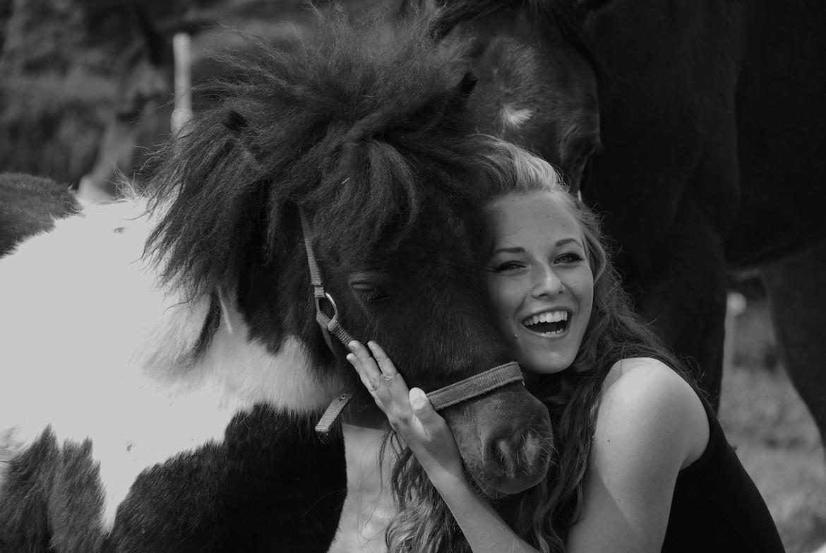 Miniature Shetlænder lille hesten - min homie! d. 5 juni 2013 foto: Amalie Kamp  billede 11