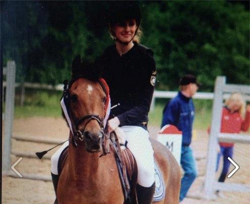 New Forest Brinkhofs Phantom (tidl. springpart) billede 4