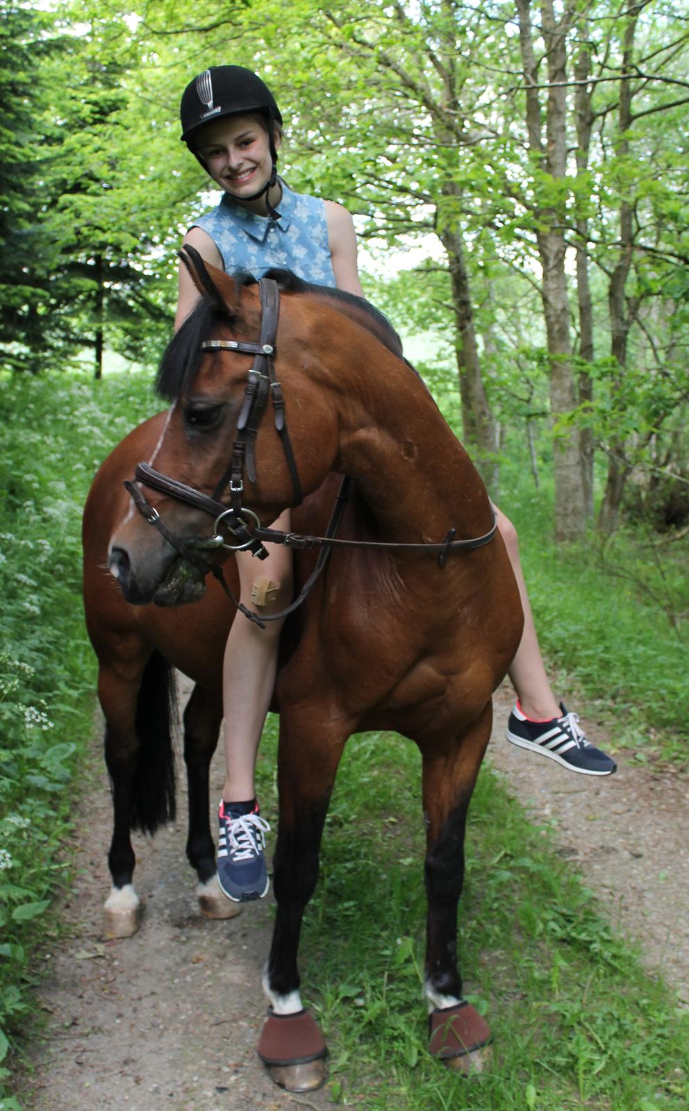 Tysk Sportspony Prop (Premiat) - En tur i skoven :) 4/6-13 billede 13