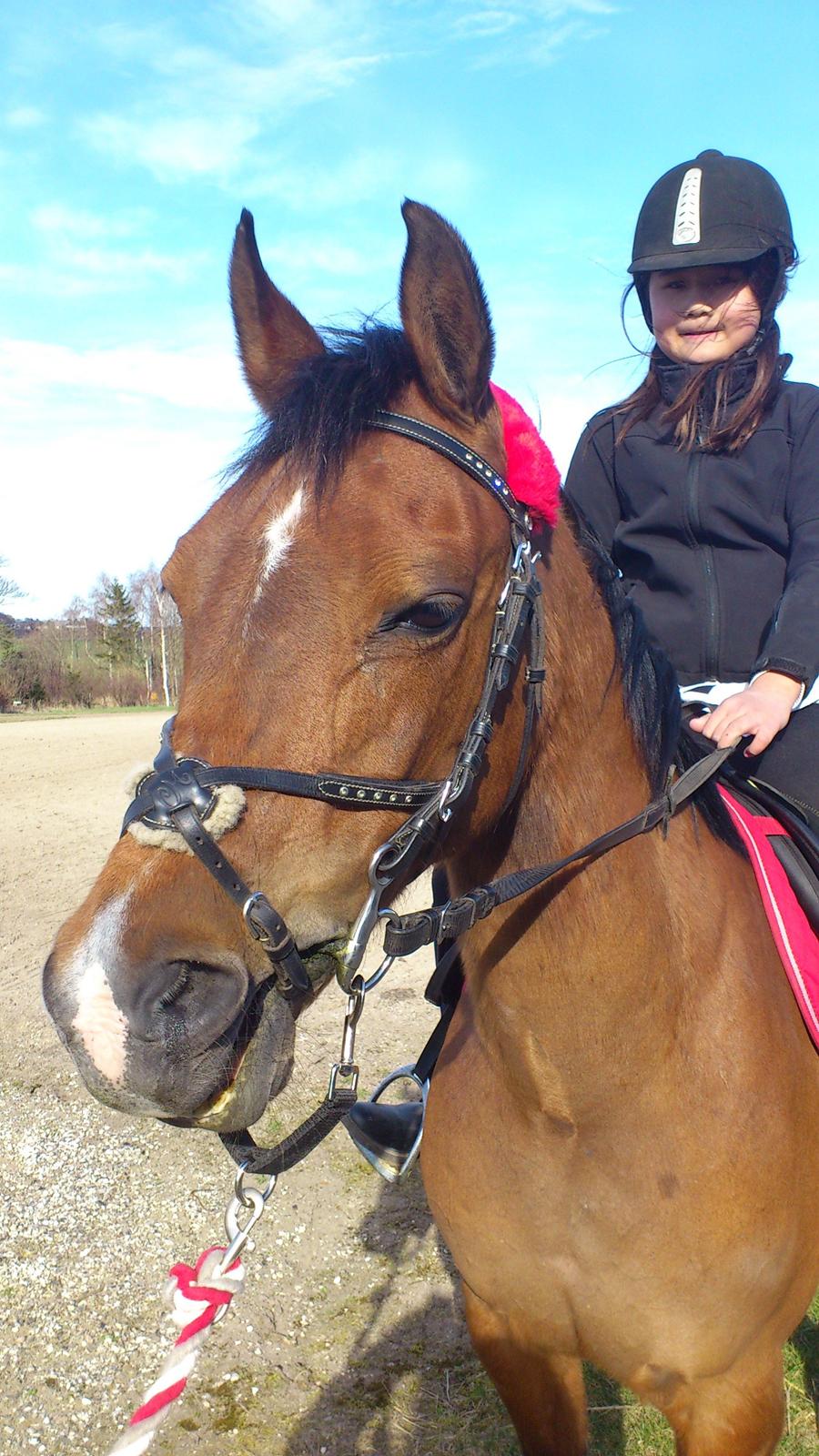 Arabisk fuldblod (OX) Wianda OX 2610 - Wianda og Celina - min datter billede 2