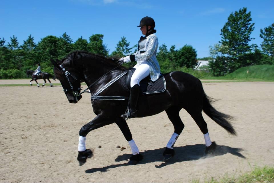 Frieser Wictoria von Inger-Marienlund - Wictoria og Eline varmer op til show ved Hjallerup Marked 2013.. billede 12