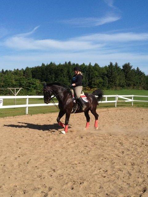 Oldenborg Maverick Mit et og alt!! :-* <3 - fordi med dig kan jeg alt!<3 billede 1