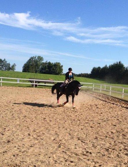 Oldenborg Maverick Mit et og alt!! :-* <3 - fordi vi kan!<3 billede 20