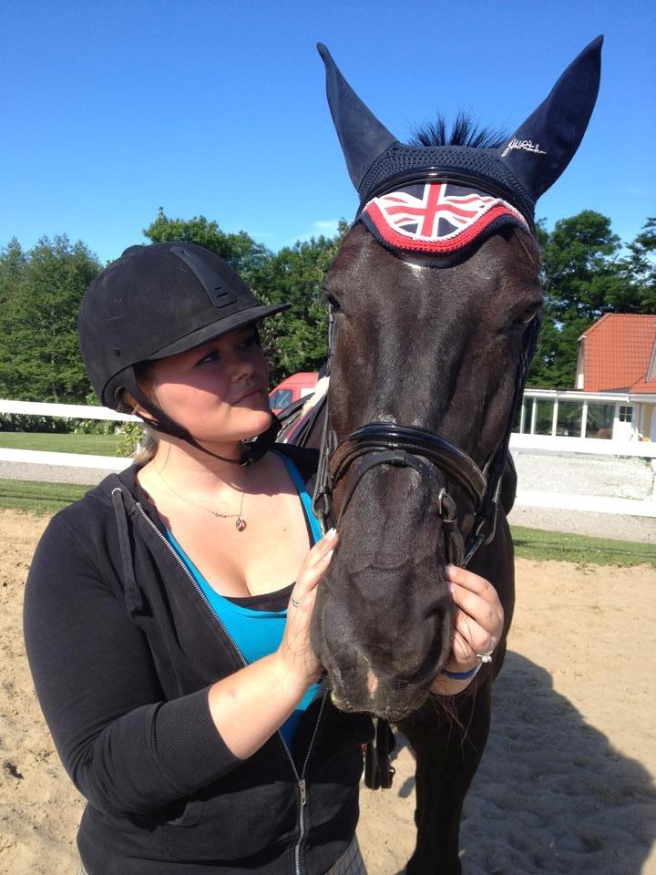 Oldenborg Maverick Mit et og alt!! :-* <3 - Se din hest i øjnene og lad dig ikke skræmme af sandheden. billede 6