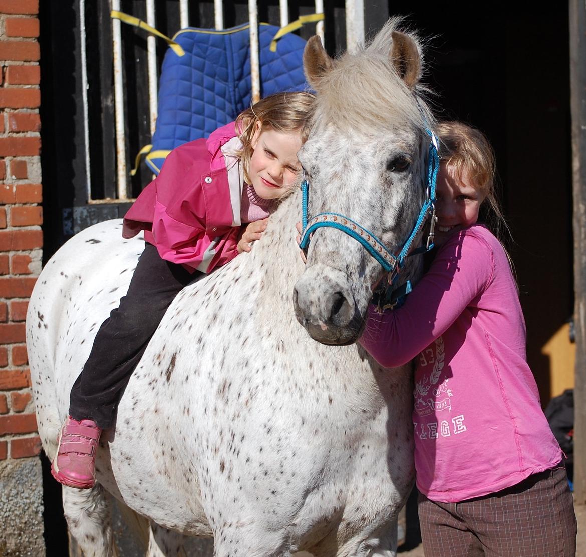 Anden særlig race Hoppity Hop (Verdens bedste pony)<3 billede 12