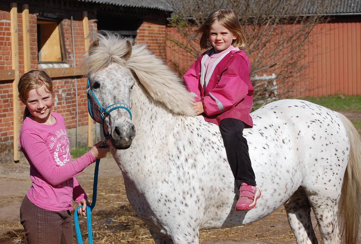 Anden særlig race Hoppity Hop (Verdens bedste pony)<3 billede 11