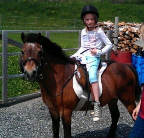 Welsh Mountain (sec A) Dikkie!<3 - min kusine ville også lige prøve hende<3 billede 11
