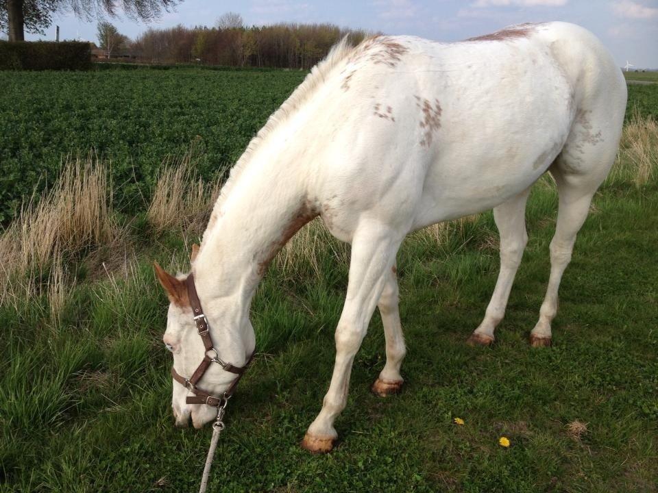 Paint Lee smart enough billede 15