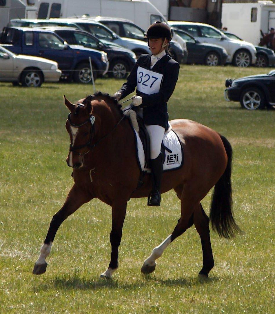 Dansk Varmblod Gamlish Chaday-Deligth - Vinder af CNC100 til Eketorp Eventing 2013 billede 19