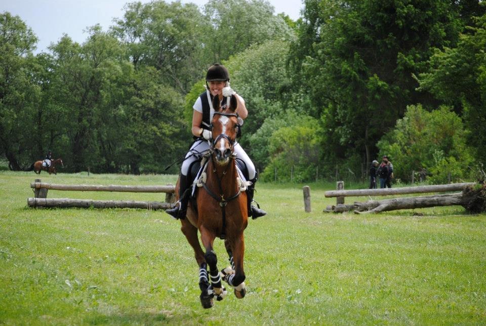 Dansk Varmblod Gamlish Chaday-Deligth - Wee, vi har det sjov... Total overskud xD Vinder af 1* til landsstævnet i Haslev, og kvalificeret til at gå internationale stævner <3 billede 5