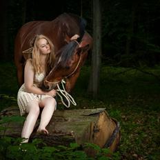 Anden særlig race Flatteur