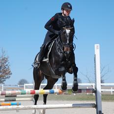 Württemberger Nashville R.I.P 24.10.2013