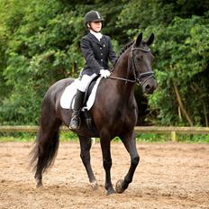 Anden særlig race Tyson