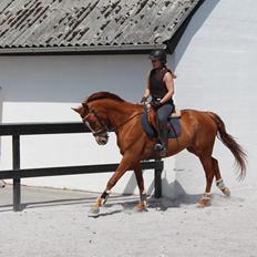 DSP Nørlunds Finette