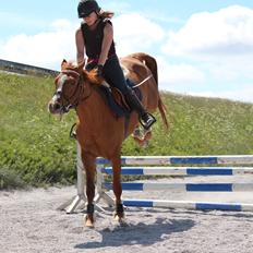 DSP Nørlunds Finette