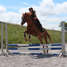 DSP Nørlunds Finette