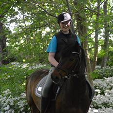 New Forest Elmholts Granat