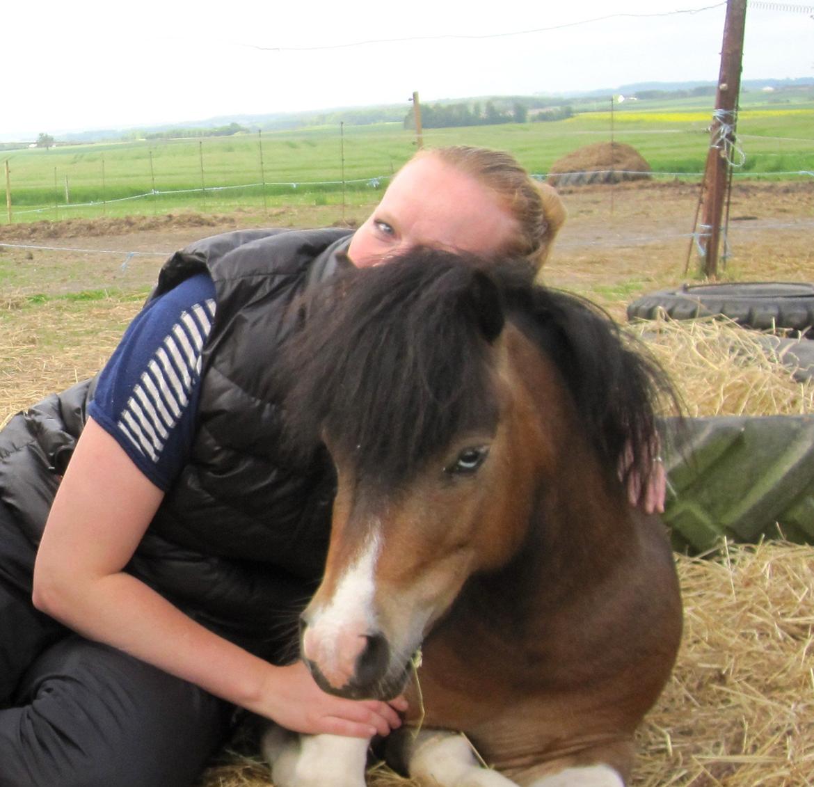 Anden særlig race Ministar`s Iceblue Sigurd billede 16