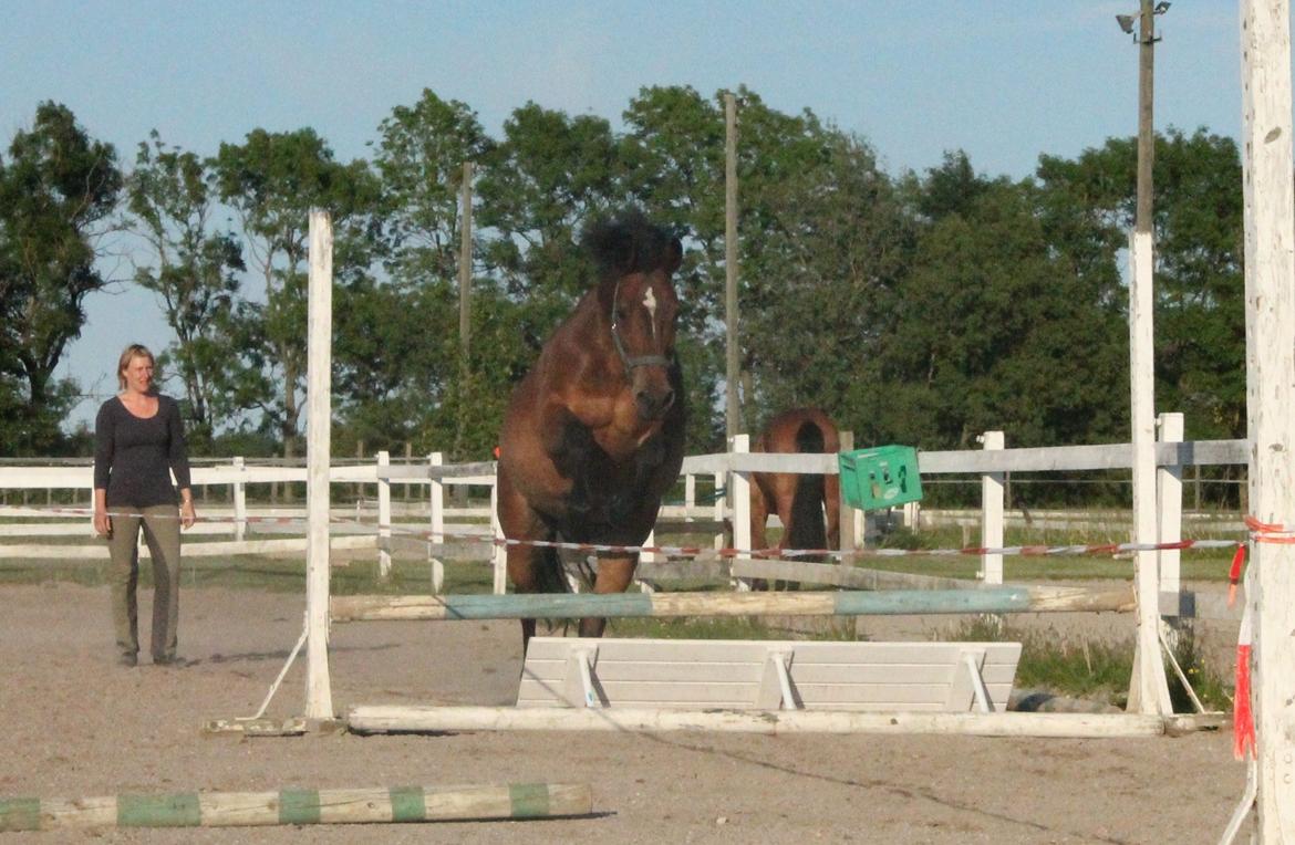 Anden særlig race Fabienne billede 12