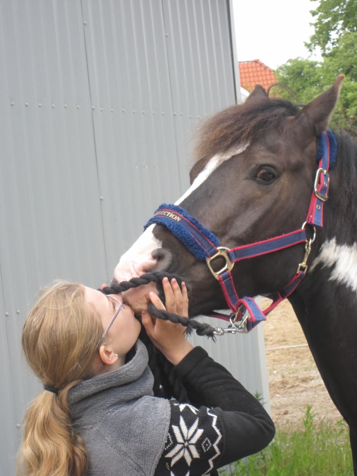 Anden særlig race Haffe Laffe - Love is like a war, easy to start, difficult to stop and never to forget billede 14