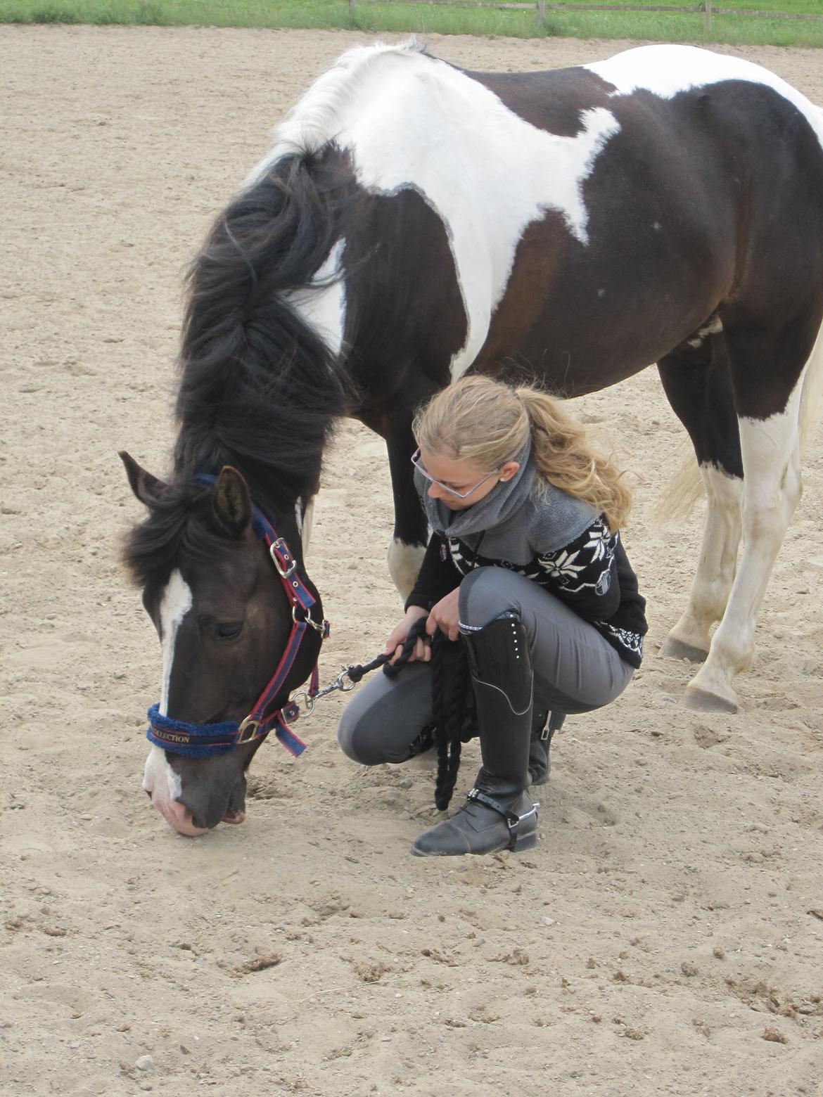 Anden særlig race Haffe Laffe - Dengang alting var godt!  billede 5
