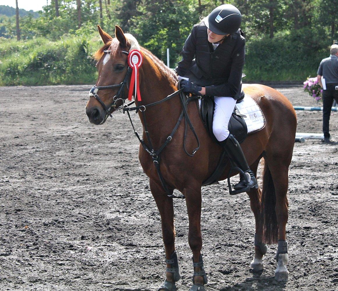 Anden særlig race Clements Penelope - 1 plads på Kallehavegård LA* fantastiske stjerne pony! billede 4