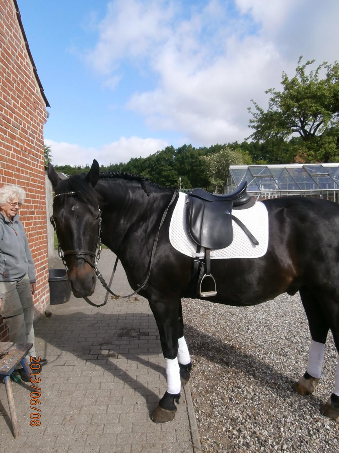 Oldenborg Hannibal  død billede 7