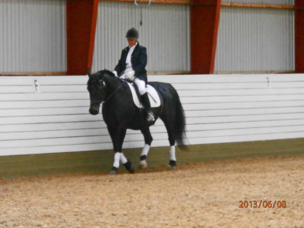 Oldenborg Hannibal  død - Ejer til stævne billede 8