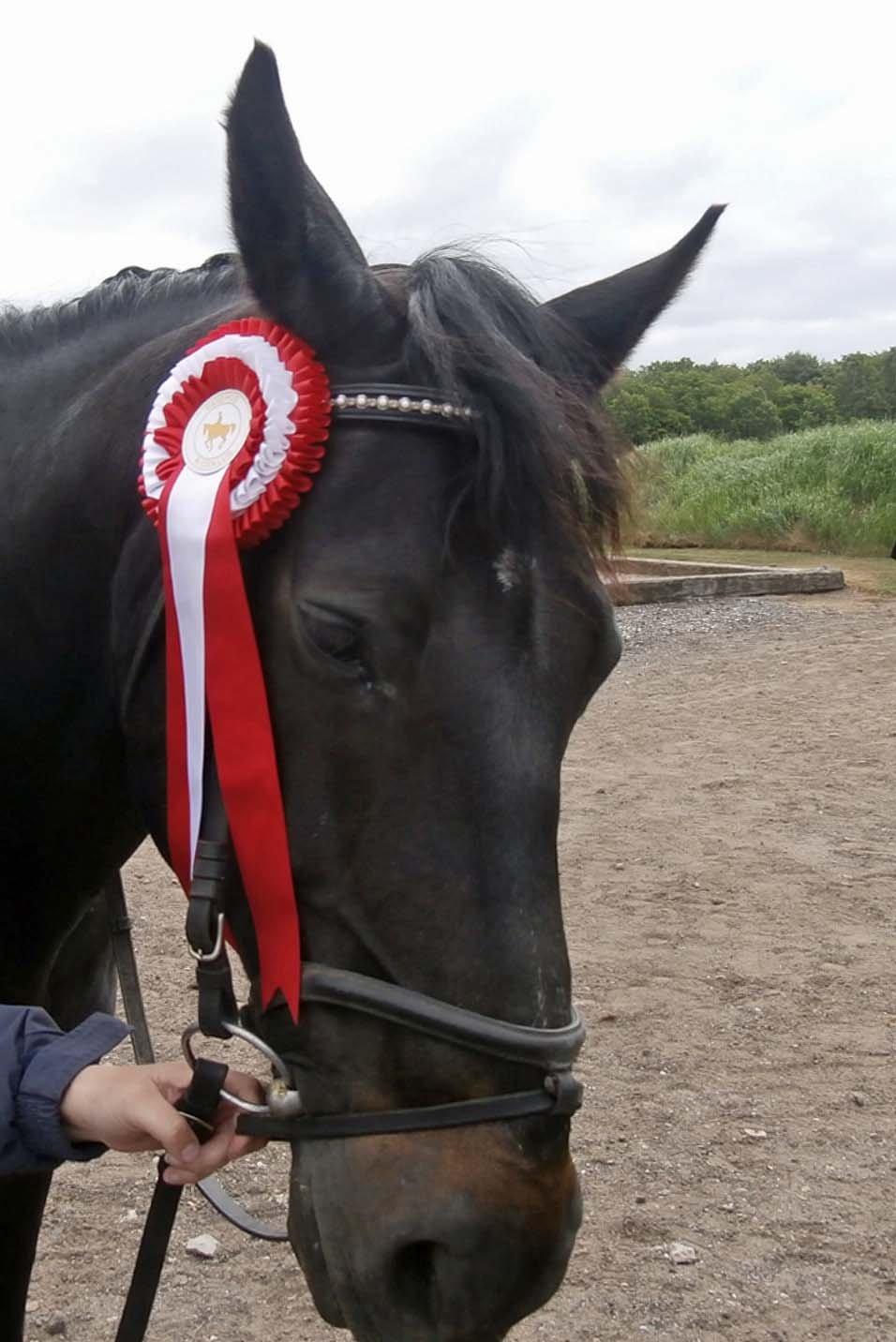 Oldenborg Hannibal  død - Hannibal med sin første 1. plads med ejer ;) billede 11