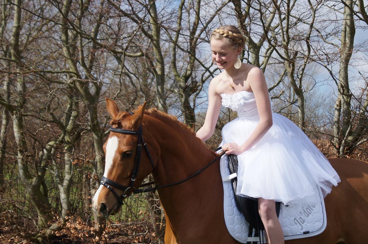 DSP Møgelvangs Ja'dore - Konfirmation d. 28 April 2013 <3 billede 4