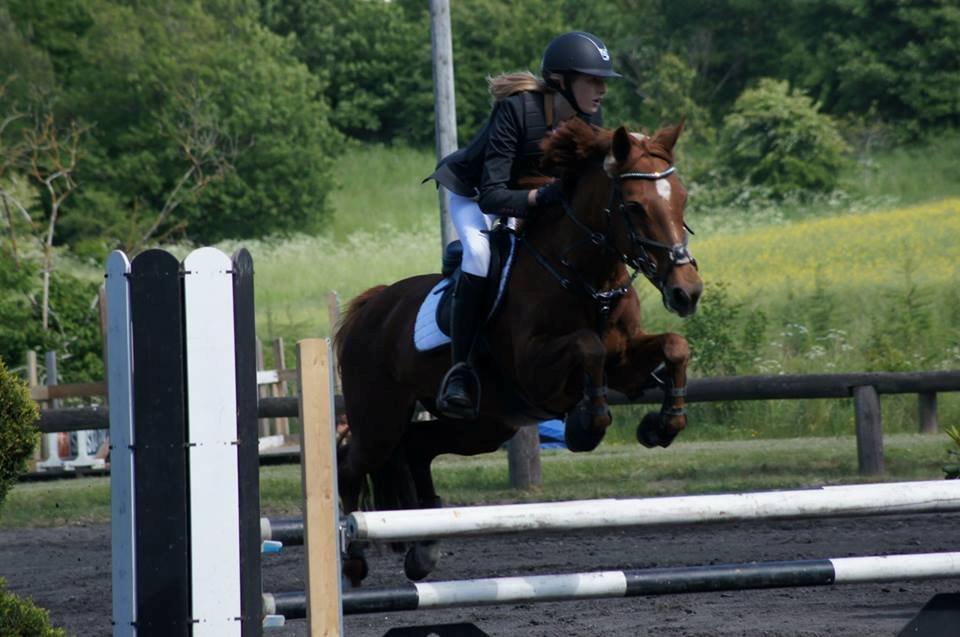 Anden særlig race Clements Penelope - LA** stjerne!      Foto: Amanda Absalonsen Busk billede 5