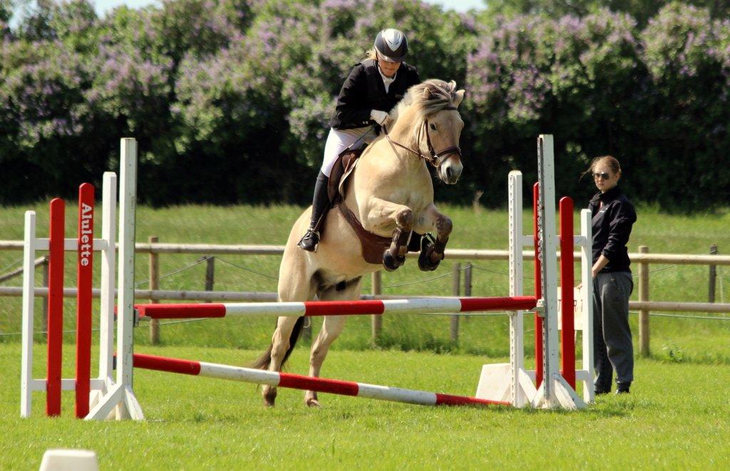 Fjordhest BG Gandalf (Fyns/klub mester!<3<3) :-* - Stævne - Langesø'egens LC billede 17