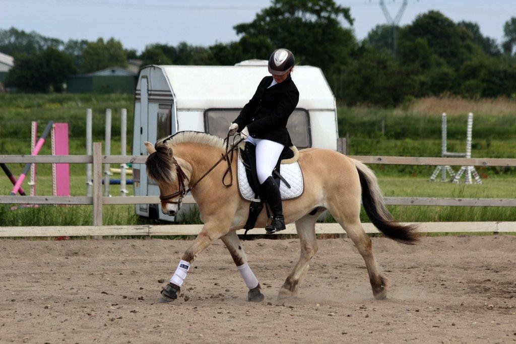 Fjordhest BG Gandalf (Fyns/klub mester!<3<3) :-* - Stævne - SER LB1 billede 19