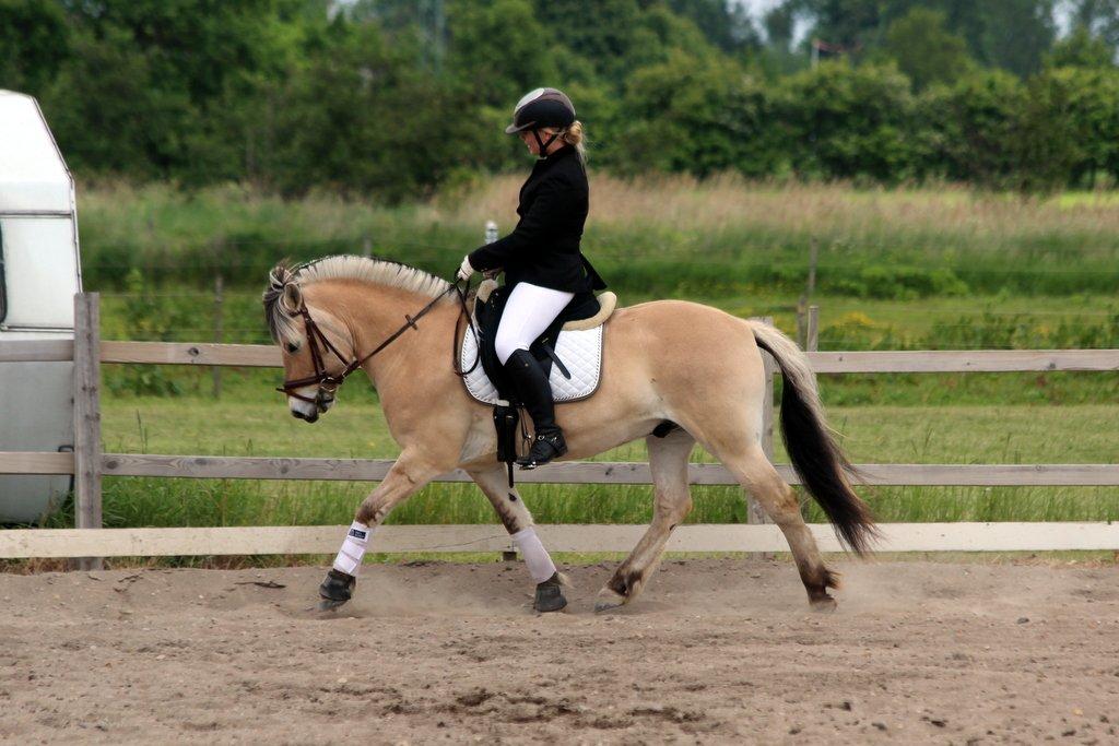 Fjordhest BG Gandalf (Fyns/klub mester!<3<3) :-* - Stævne - SER billede 3