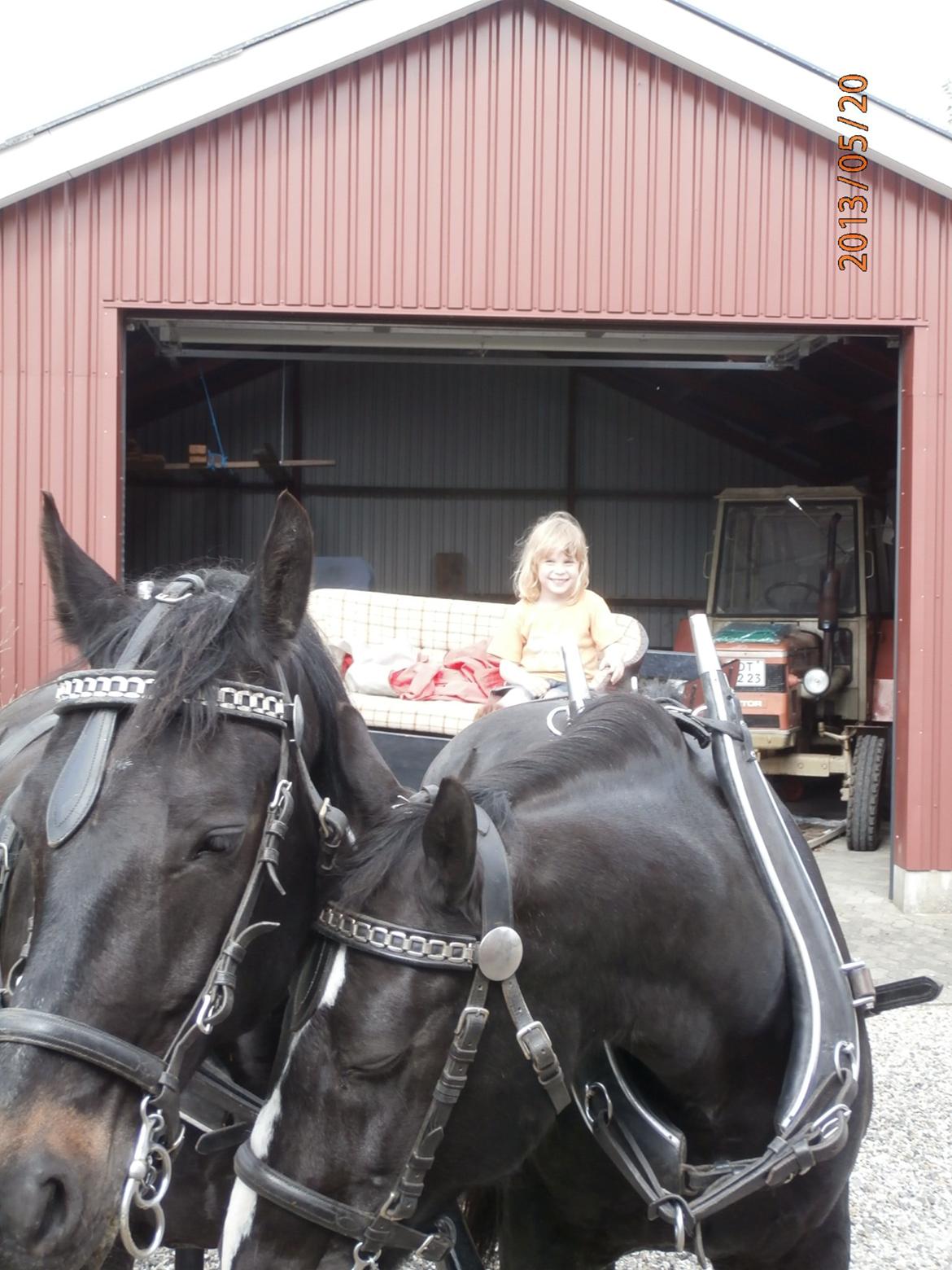 Oldenborg Hannibal  død - Hannibal og bror man efter en hyggetur i skoven ;) billede 13