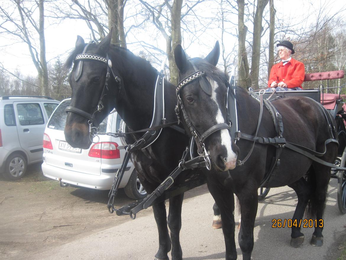 Oldenborg Hannibal  død - Hannibal og brormand til komfirmation billede 14
