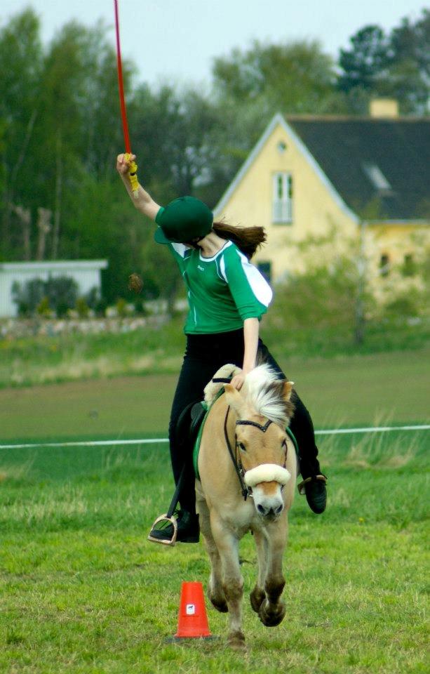 Fjordhest Micky (Penti) <3 - DM indiv. 2013 <3  billede 22