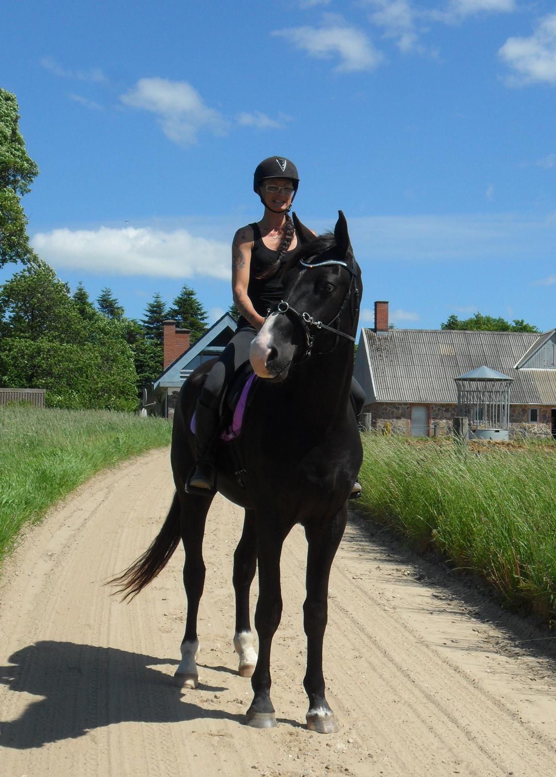 Anden særlig race Klitgaards Mr Big *R.I.P* billede 39