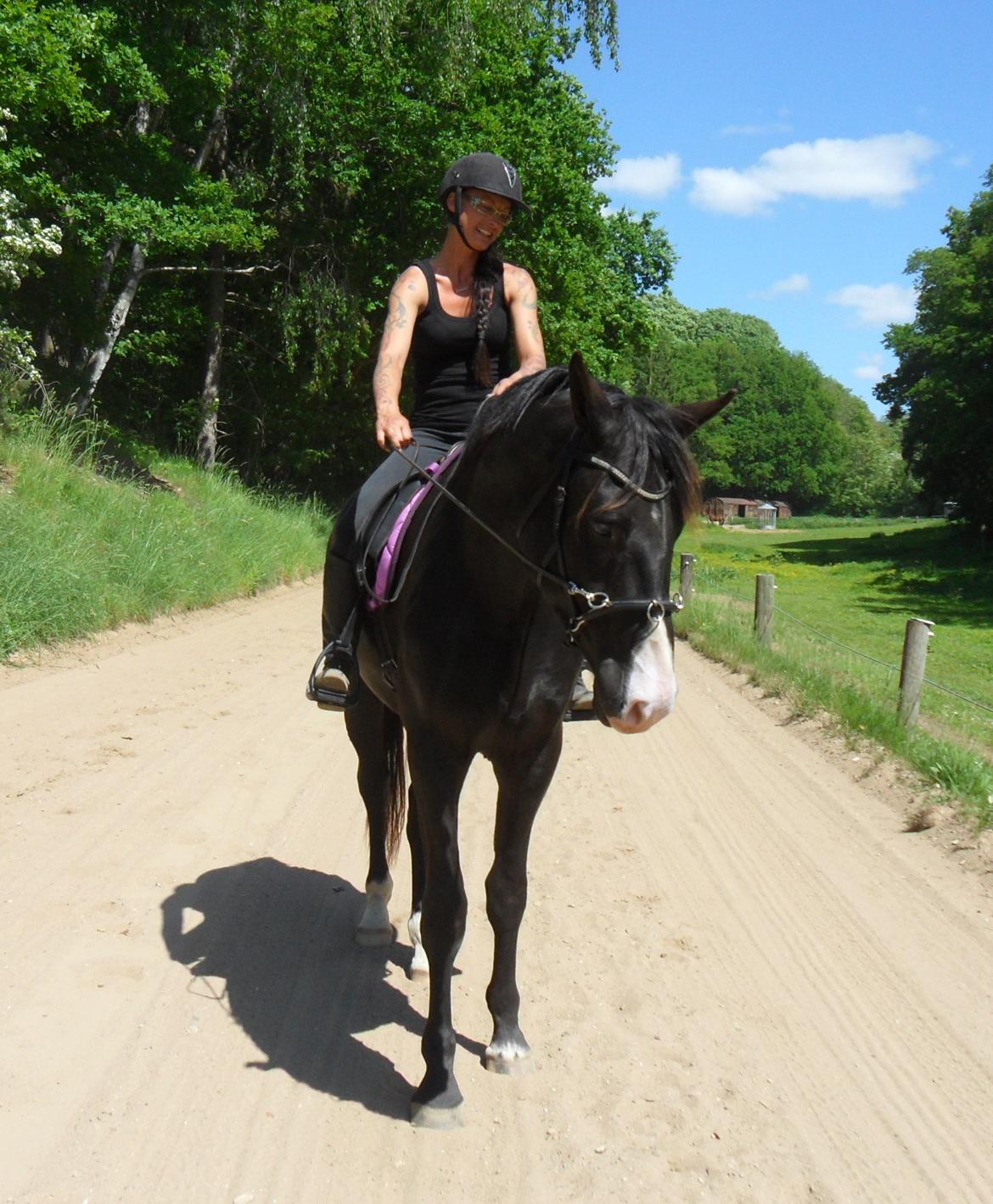 Anden særlig race Klitgaards Mr Big *R.I.P* - 6 gang på ryggen, på travbanen vi har på stedet <3 billede 25