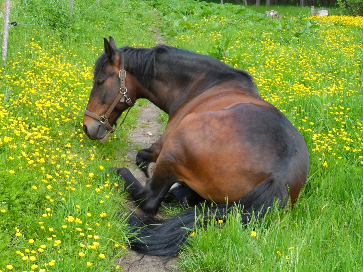 Oldenborg Jasmin - My Angel You Will Always Have My Heart ♥ billede 5