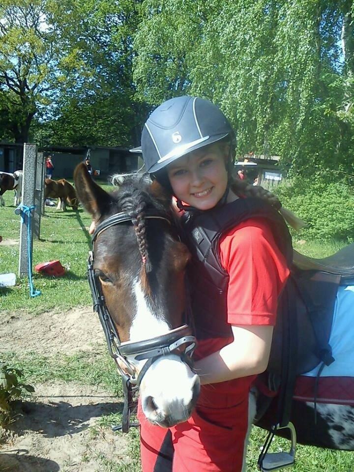 Pinto Svalegårdens Amalie billede 14