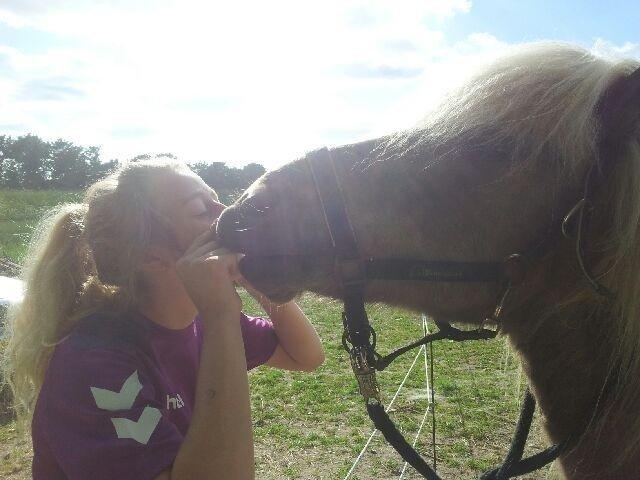 Islænder Así - Así giver mulemys til Linnea. <3 billede 7