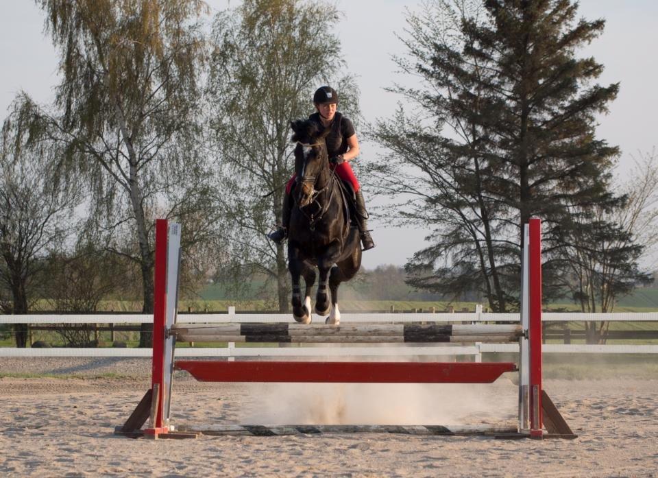 Württemberger Nashville R.I.P 24.10.2013 billede 6