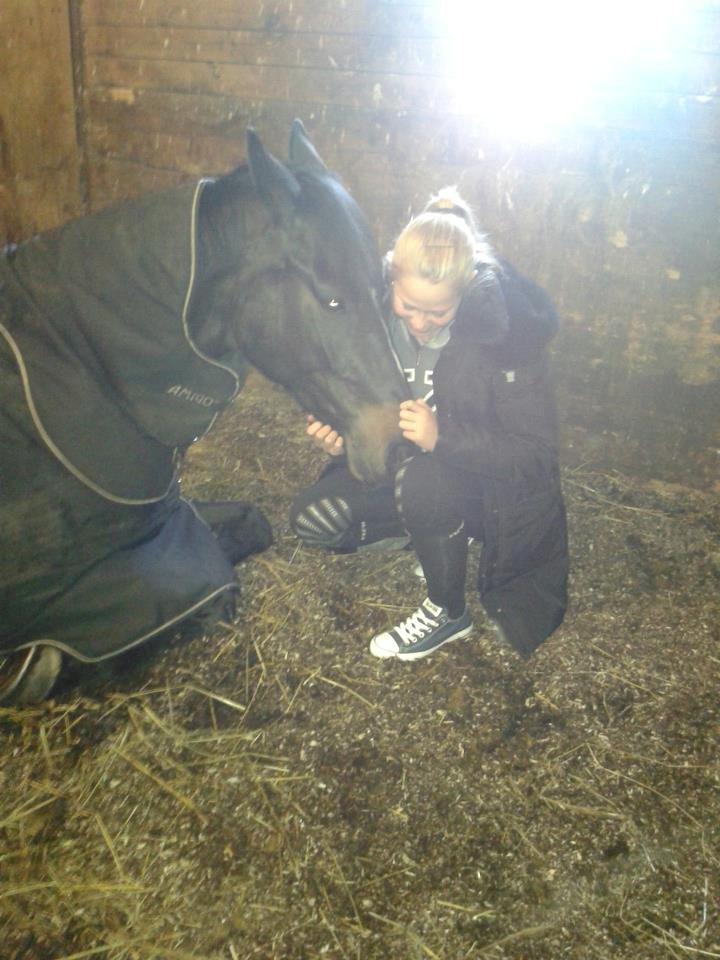 Württemberger Nashville R.I.P 24.10.2013 - min lille hest er træt:) billede 8