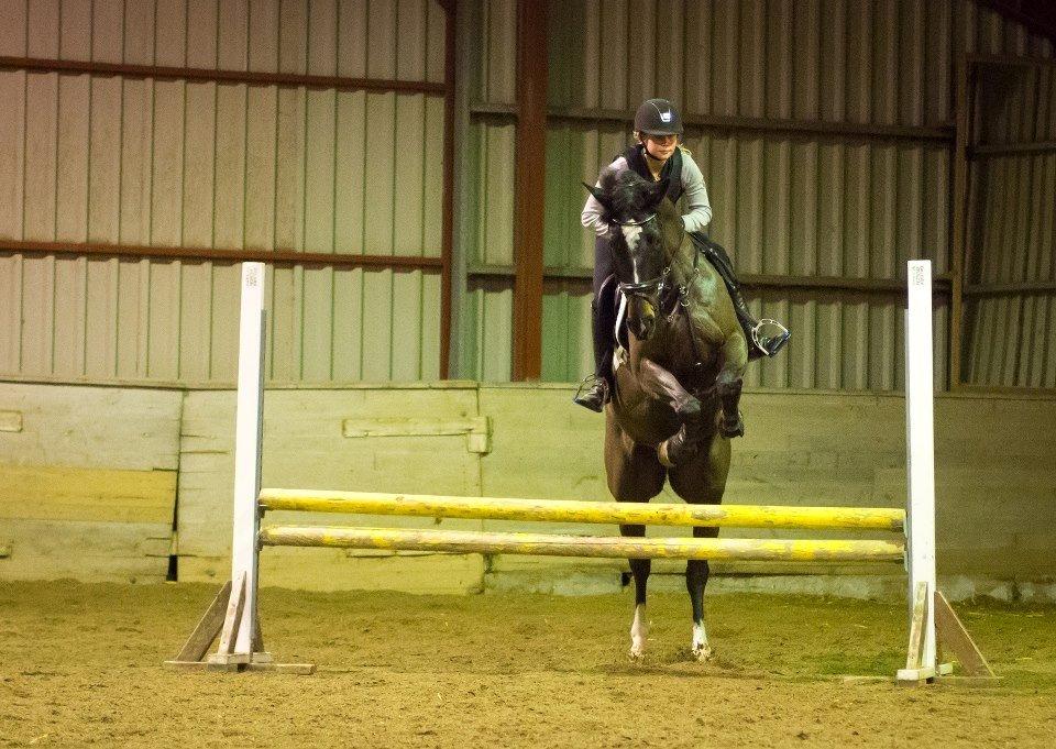 Württemberger Nashville R.I.P 24.10.2013 billede 10