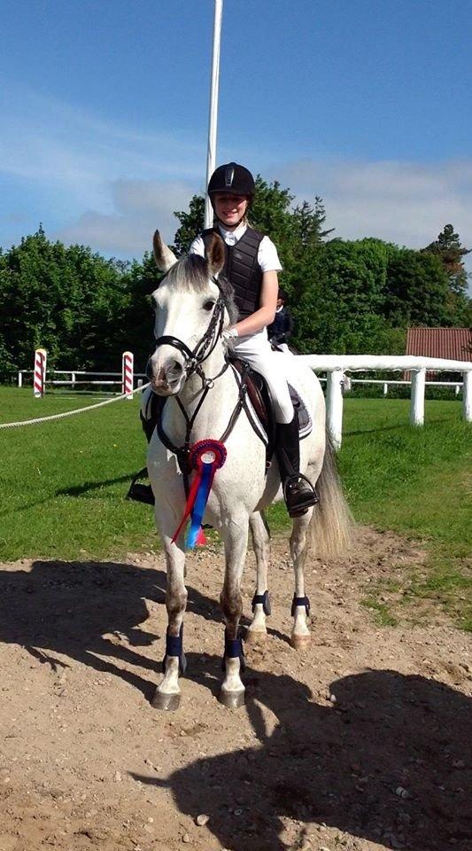 Sportsaraber (A) Miss Light - Første springstævne<3 billede 6