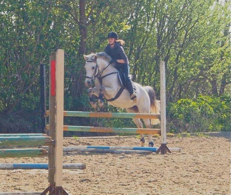 Sportsaraber (A) Miss Light billede 3