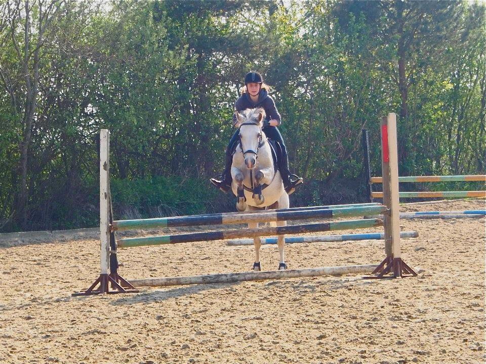 Sportsaraber (A) Miss Light - Til springundervisning<3 billede 4