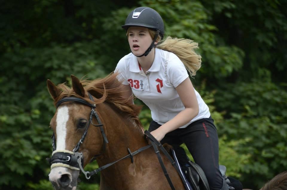 Hollandsk Sportspony Ferrari billede 13