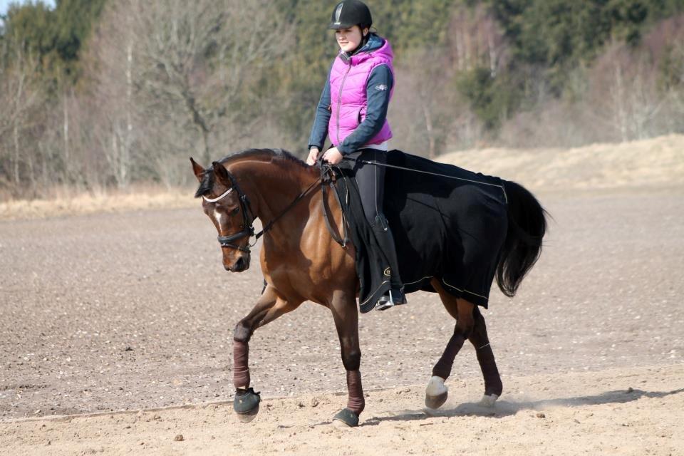 Arabisk fuldblod (OX) Amani. - Fotograf: Karoline Ryberg Kristensen. ♥ billede 5